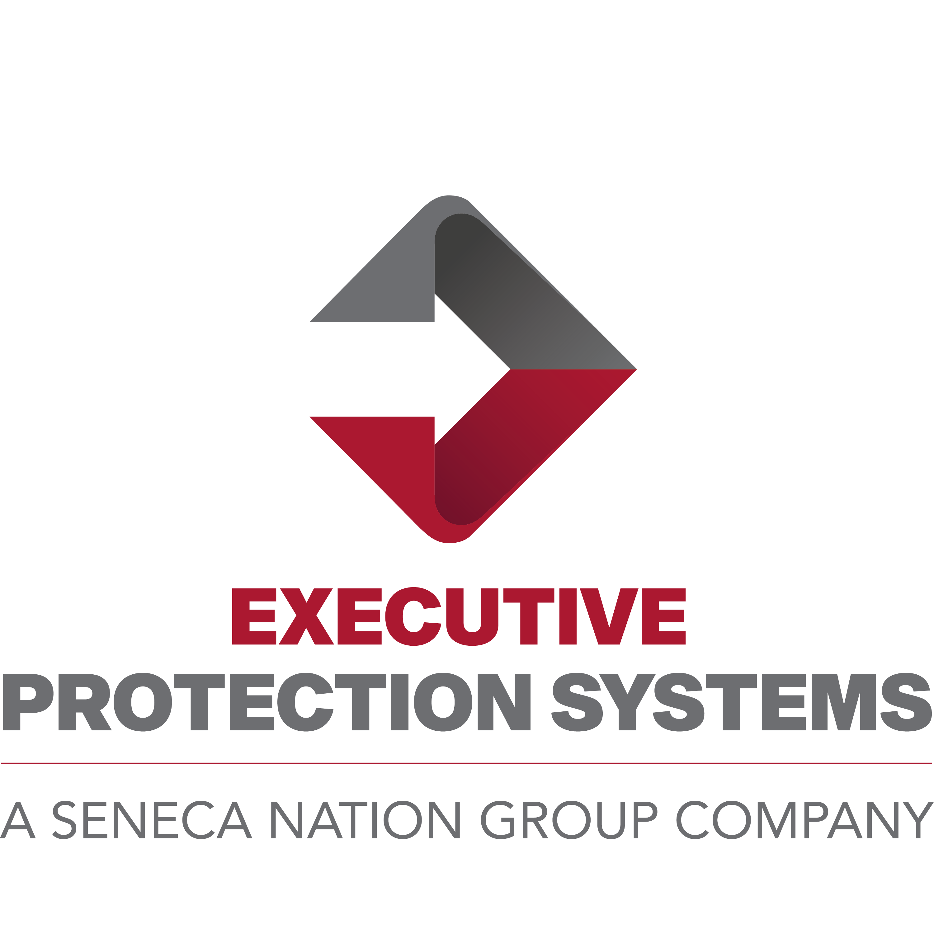 Executive Protection Systems